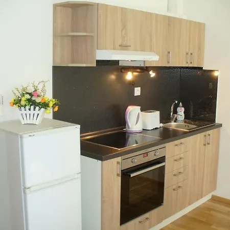 Apartament Garden With Garage In *